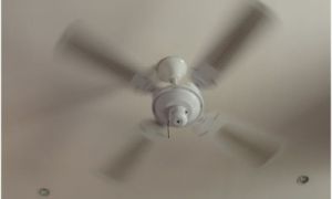 Ceiling Fan Rotation